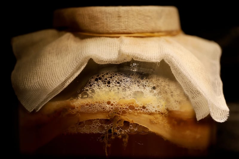Kombucha Brewing